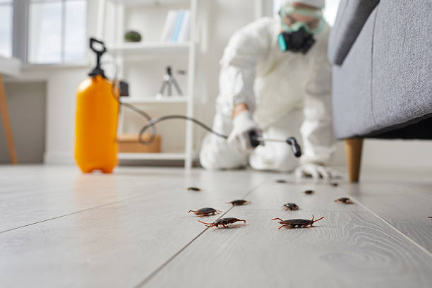 Commercial Rodent Management in Heyburn